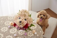 新日本カレンダー株式会社のプレスリリース画像1