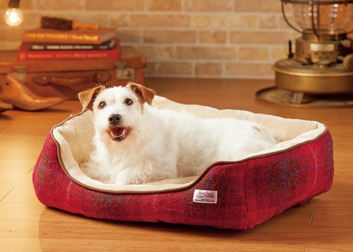 新日本カレンダー株式会社のプレスリリース画像1