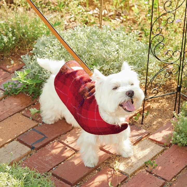 新日本カレンダー株式会社のプレスリリース画像5