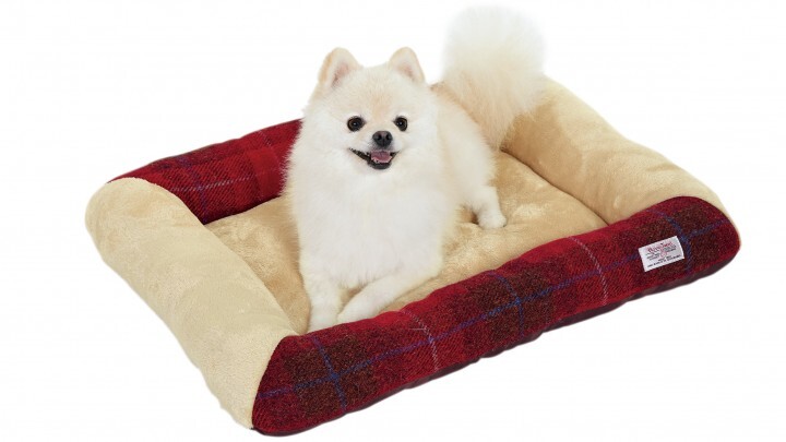 新日本カレンダー株式会社のプレスリリース画像3