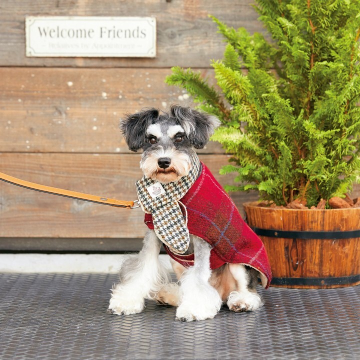 新日本カレンダー株式会社のプレスリリース画像6