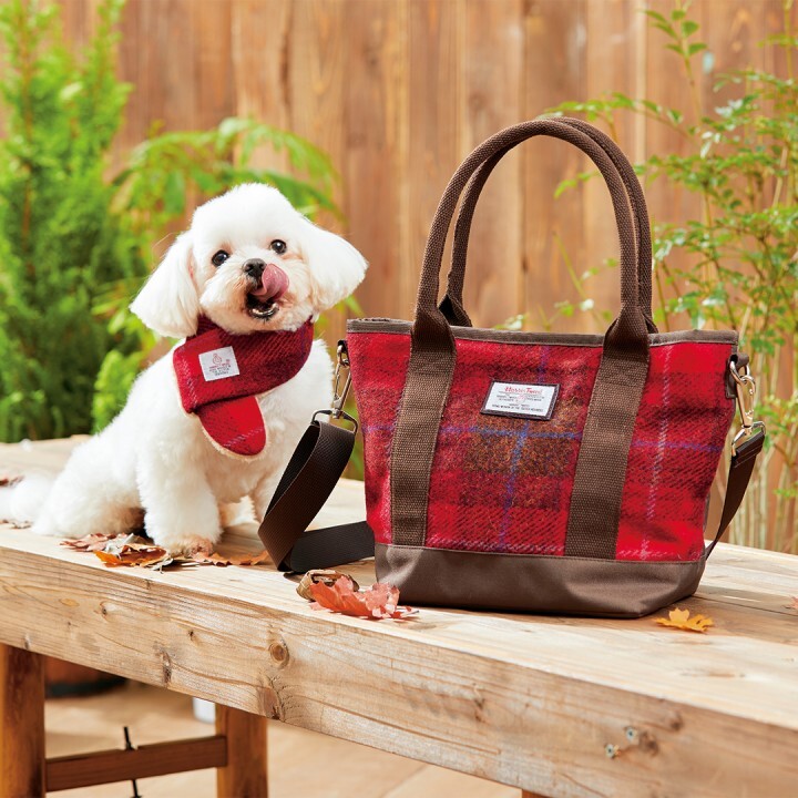 新日本カレンダー株式会社のプレスリリース画像7