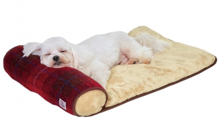 新日本カレンダー株式会社のプレスリリース画像4