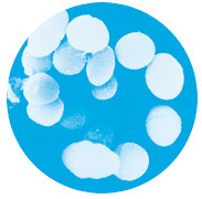 新日本カレンダー株式会社のプレスリリース画像3