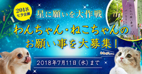 新日本カレンダー株式会社のプレスリリース画像2