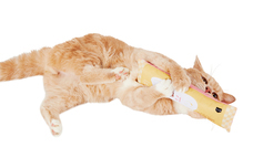 新日本カレンダー株式会社のプレスリリース画像4