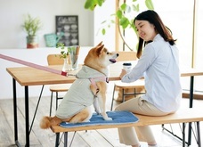 新日本カレンダー株式会社のプレスリリース画像3