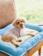 新日本カレンダー株式会社のプレスリリース画像4