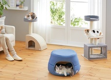 新日本カレンダー株式会社のプレスリリース画像5