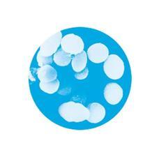 新日本カレンダー株式会社のプレスリリース画像6