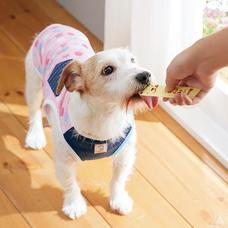 新日本カレンダー株式会社のプレスリリース画像1