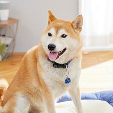 新日本カレンダー株式会社のプレスリリース画像2