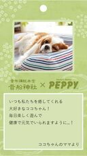 新日本カレンダー株式会社のプレスリリース画像3