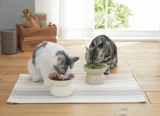 新日本カレンダー株式会社のプレスリリース画像6