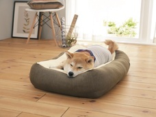 新日本カレンダー株式会社のプレスリリース画像8