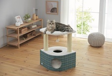 新日本カレンダー株式会社のプレスリリース画像3