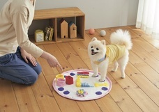 新日本カレンダー株式会社のプレスリリース画像7