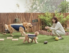 新日本カレンダー株式会社のプレスリリース画像5