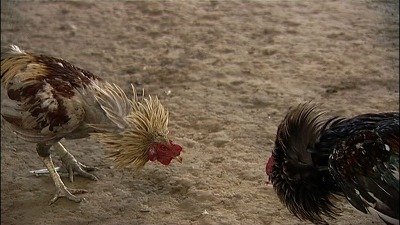 ショートショート実行委員会のプレスリリース画像5