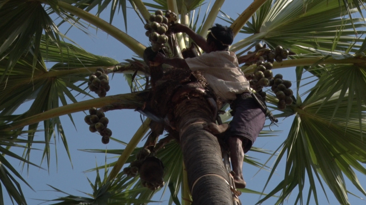 ショートショート実行委員会のプレスリリース画像6