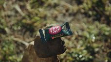 ショートショート実行委員会のプレスリリース画像5