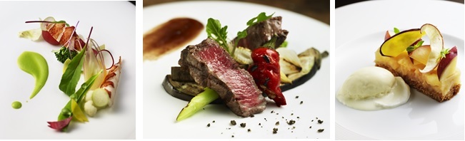 株式会社ディアーズ・ブレインホールディングスのプレスリリース画像1