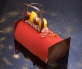 株式会社ディアーズ・ブレインホールディングスのプレスリリース画像1