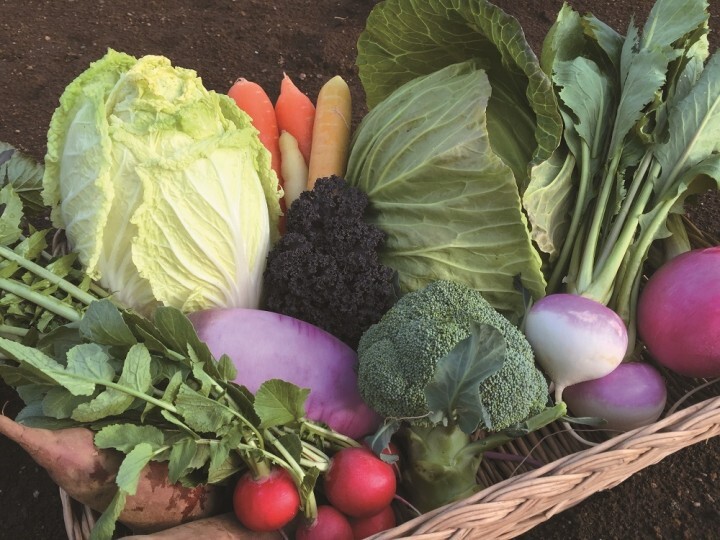 株式会社ディアーズ・ブレインホールディングスのプレスリリース画像6