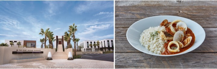 株式会社ディアーズ・ブレインホールディングスのプレスリリース画像1