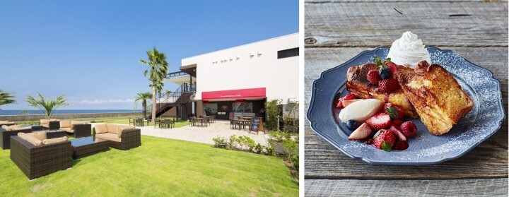 株式会社ディアーズ・ブレインホールディングスのプレスリリース画像1