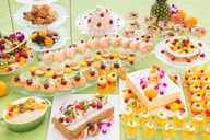 株式会社ディアーズ・ブレインホールディングスのプレスリリース画像1