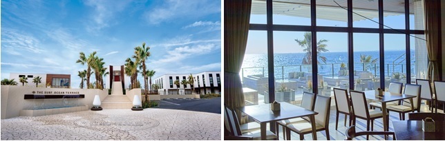 株式会社ディアーズ・ブレインホールディングスのプレスリリース画像1