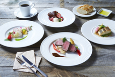 株式会社ディアーズ・ブレインホールディングスのプレスリリース画像1