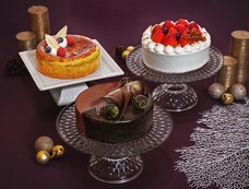 株式会社ディアーズ・ブレインホールディングスのプレスリリース画像1