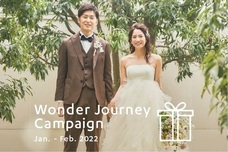 株式会社ディアーズ・ブレインホールディングスのプレスリリース画像1