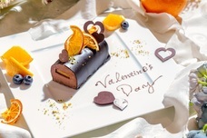 株式会社ディアーズ・ブレインホールディングスのプレスリリース画像1