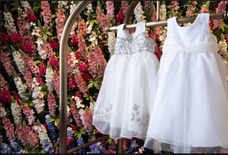 株式会社ディアーズ・ブレインホールディングスのプレスリリース画像1