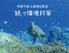 大昭和紙工産業株式会社のプレスリリース2