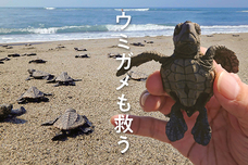 大昭和紙工産業株式会社のプレスリリース画像1