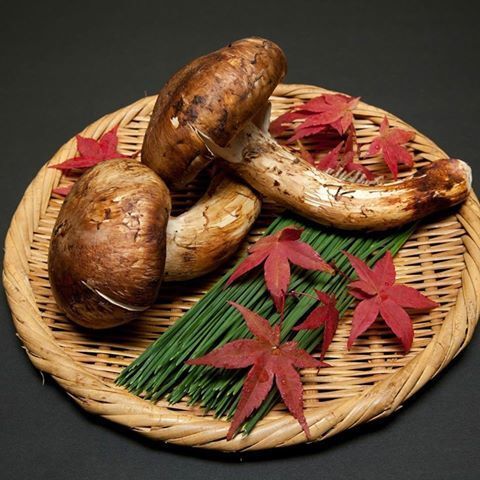 株式会社エフユーアイジャパンのプレスリリース画像3