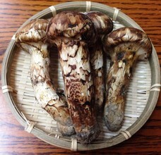 株式会社エフユーアイジャパンのプレスリリース画像3