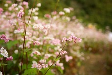 株式会社エフユーアイジャパンのプレスリリース画像2