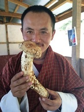 株式会社エフユーアイジャパンのプレスリリース画像2