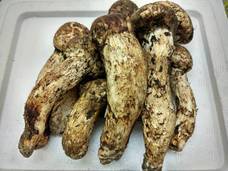 株式会社エフユーアイジャパンのプレスリリース画像3