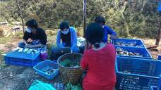 株式会社エフユーアイジャパンのプレスリリース画像1