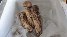 株式会社エフユーアイジャパンのプレスリリース画像2