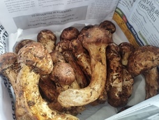 株式会社エフユーアイジャパンのプレスリリース画像2