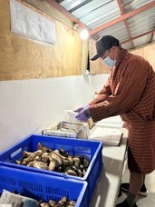 株式会社エフユーアイジャパンのプレスリリース画像1