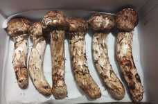 株式会社エフユーアイジャパンのプレスリリース画像2