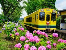 琴平バス株式会社のプレスリリース画像1